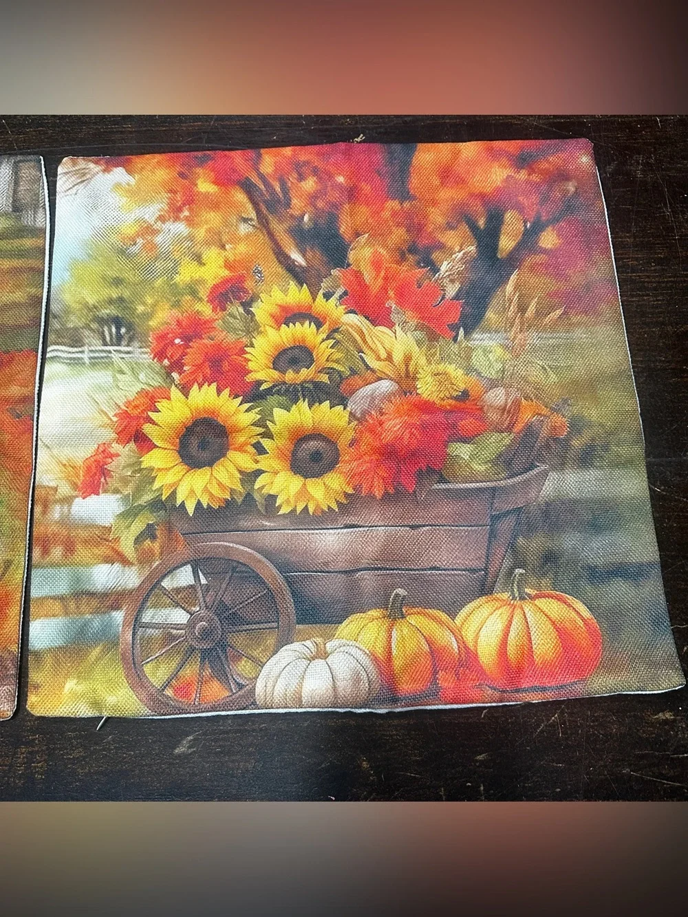 Autumn Accent Pillow Covers